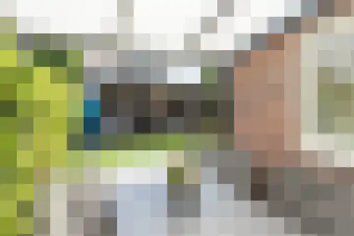 Prinsessenlaan 10 Oud Gastel thumbnail 60