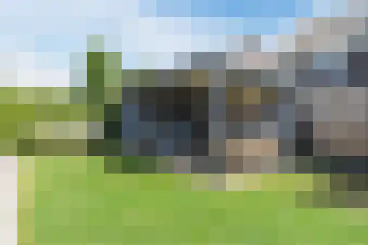 Prinsessenlaan 10 Oud Gastel thumbnail 62