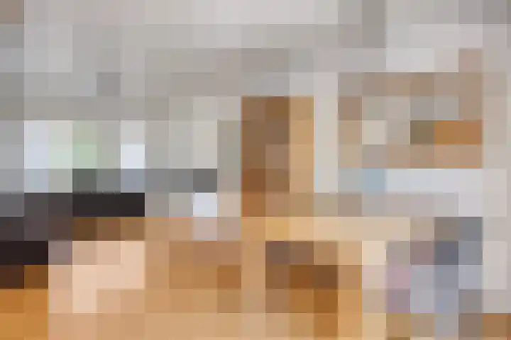 Prinsessenlaan 2 Hoogkarspel thumbnail 13