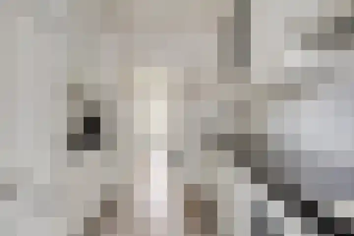 Prinsessenlaan 2 Hoogkarspel thumbnail 15