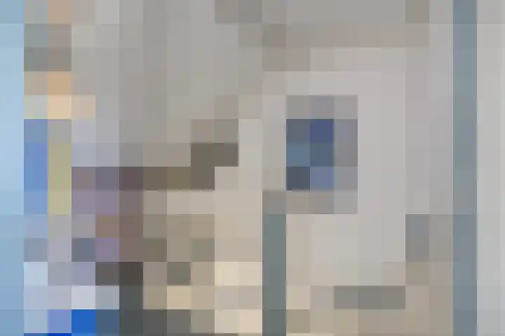 Prinsessenlaan 2 Hoogkarspel thumbnail 27