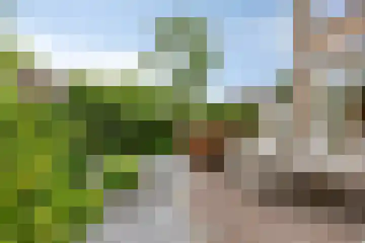 Prinsessenlaan 2 Hoogkarspel thumbnail 31