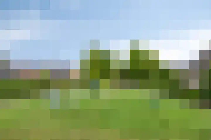 Prinsessenlaan 2 Hoogkarspel thumbnail 39