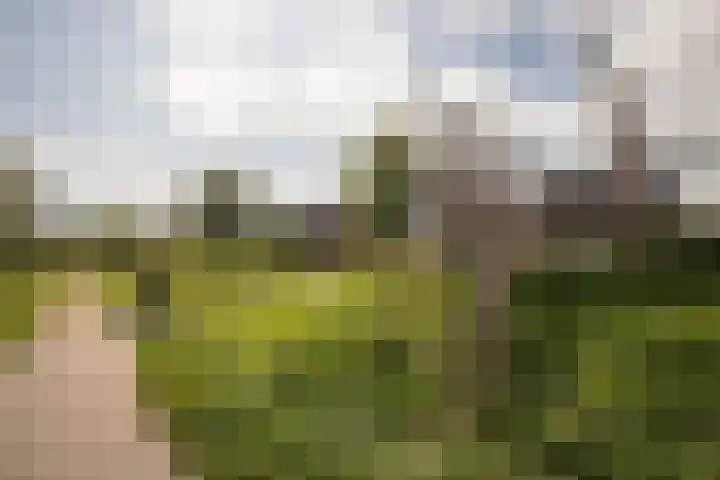 Prinsessenlaan 2 Hoogkarspel thumbnail 50