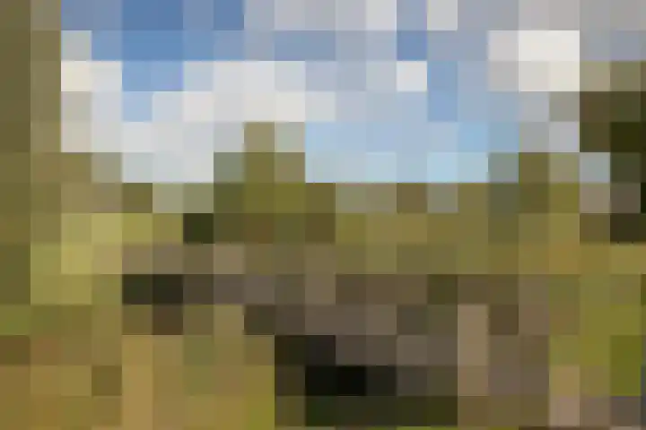 Prinsessenlaan 2 Hoogkarspel thumbnail 53