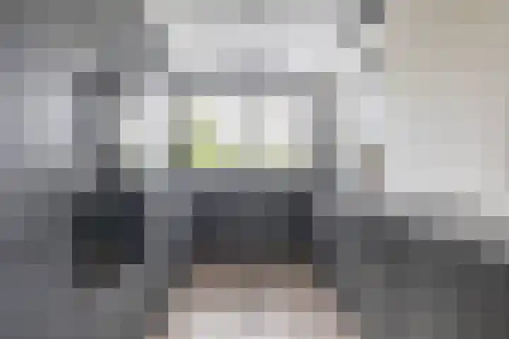 Prinsessenlaan 2 Zevenhuizen thumbnail 11