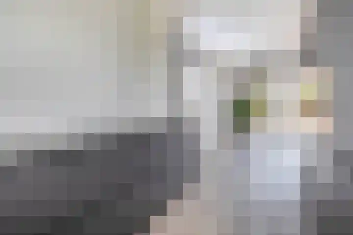 Prinsessenlaan 2 Zevenhuizen thumbnail 14