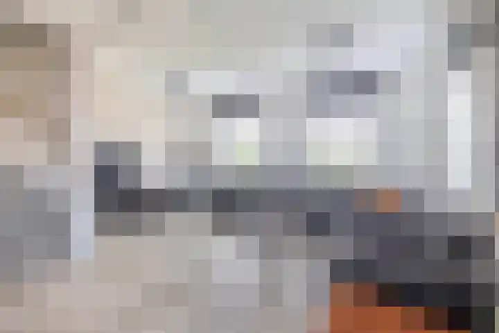 Prinsessenlaan 2 Zevenhuizen thumbnail 15