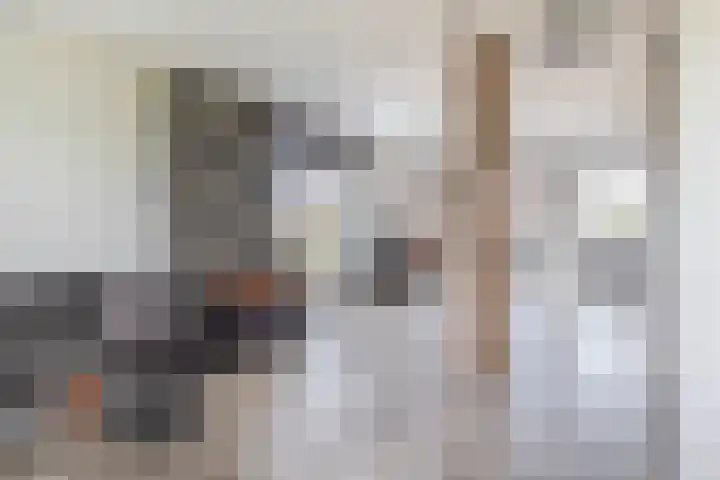 Prinsessenlaan 2 Zevenhuizen thumbnail 17