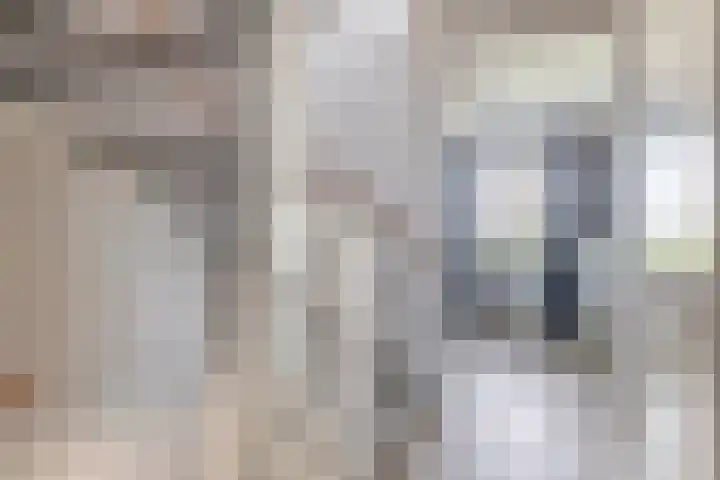 Prinsessenlaan 2 Zevenhuizen thumbnail 24