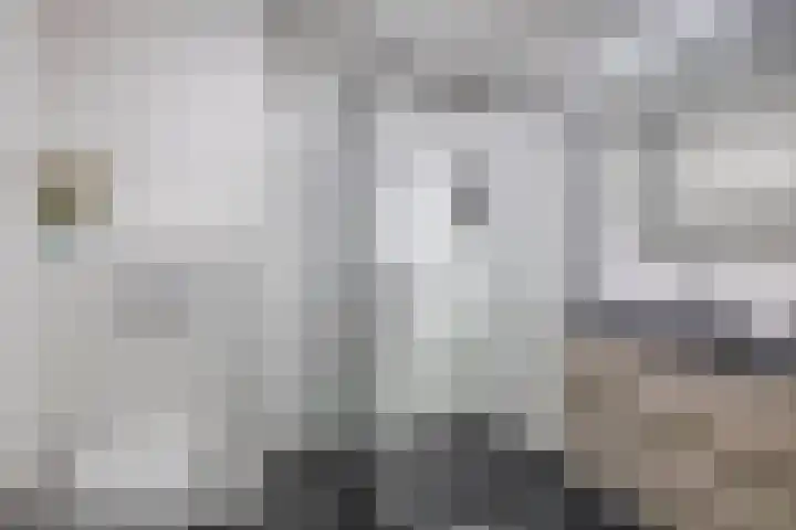 Prinsessenlaan 2 Zevenhuizen thumbnail 27