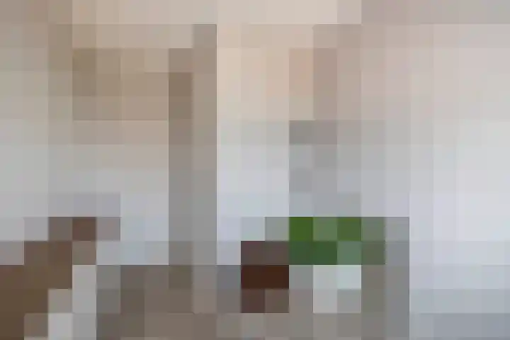 Prinsessenlaan 2 Zevenhuizen thumbnail 31