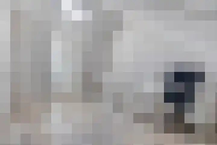 Prinsessenlaan 2 Zevenhuizen thumbnail 33