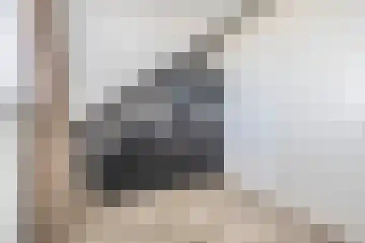 Prinsessenlaan 2 Zevenhuizen thumbnail 36