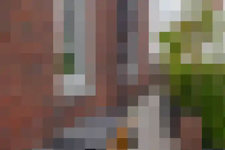 Prinsessenlaan 2 Zevenhuizen thumbnail 37