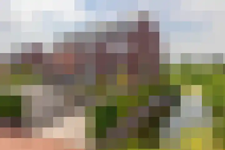 Prinsessenlaan 2 Zevenhuizen thumbnail 44