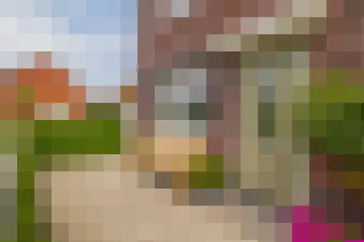 Prinsessenlaan 2 Zevenhuizen thumbnail 5