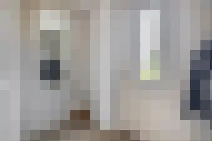 Prinsessenlaan 2 Zevenhuizen thumbnail 6