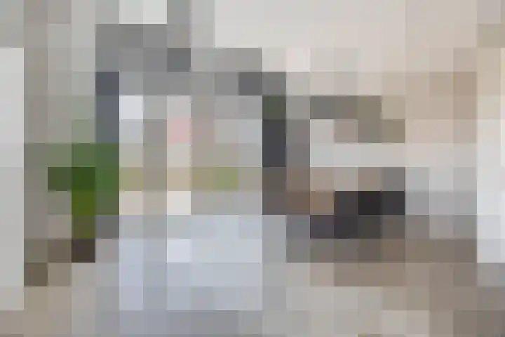Prinsessenlaan 2 Zevenhuizen thumbnail 8