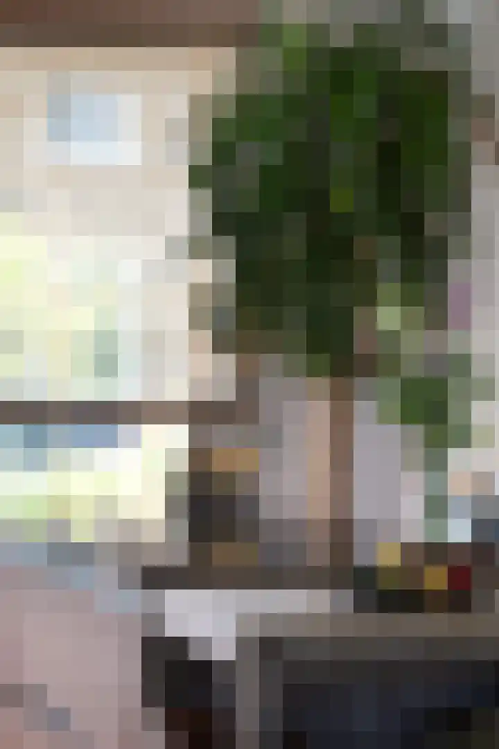 Prinsessenlaan 23 Zevenhuizen thumbnail 15