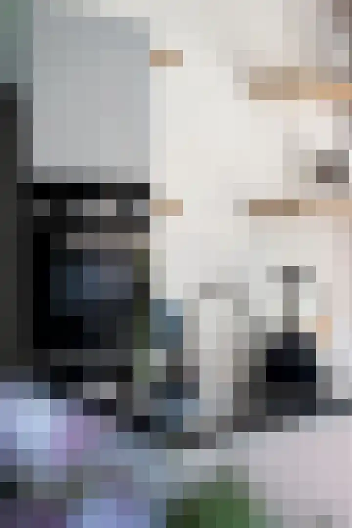 Prinsessenlaan 23 Zevenhuizen thumbnail 16