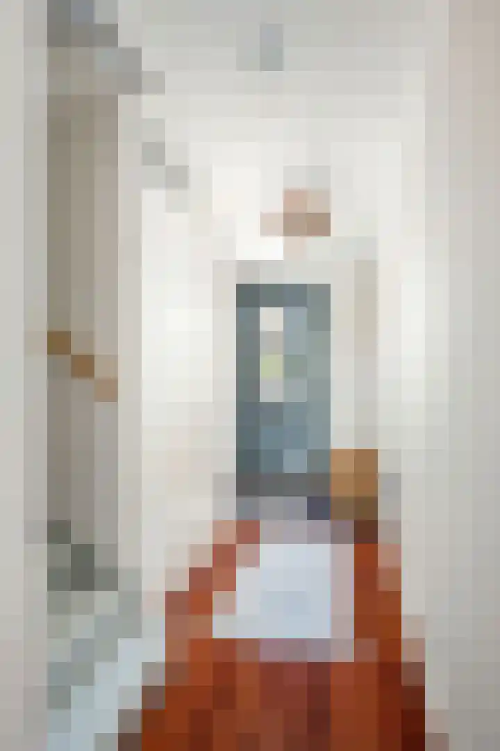 Prinsessenlaan 23 Zevenhuizen thumbnail 32