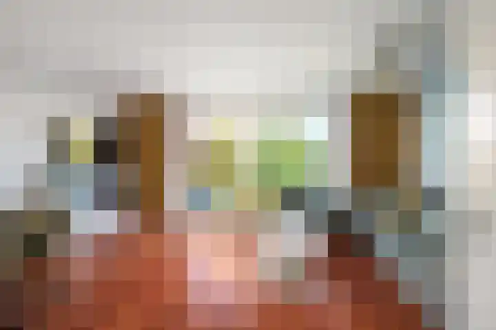Prinsessenlaan 23 Zevenhuizen thumbnail 5