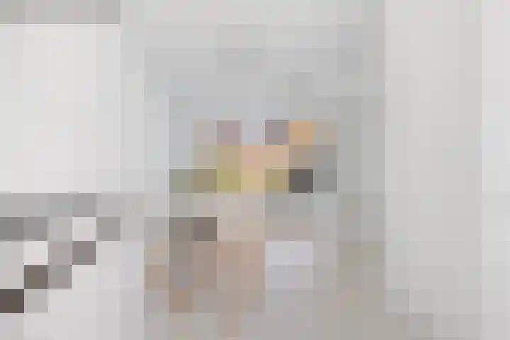 Prinsessenlaan 35 Oud Gastel thumbnail 18