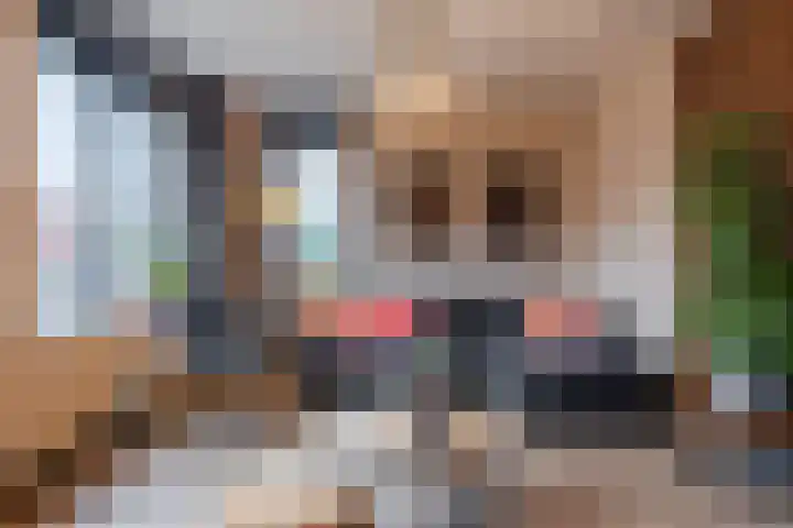 Prinsessenlaan 38 Oud Gastel thumbnail 12
