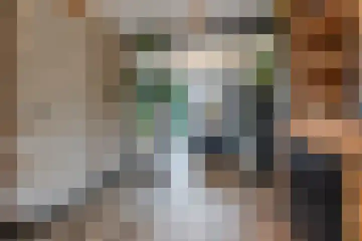 Prinsessenlaan 38 Oud Gastel thumbnail 14