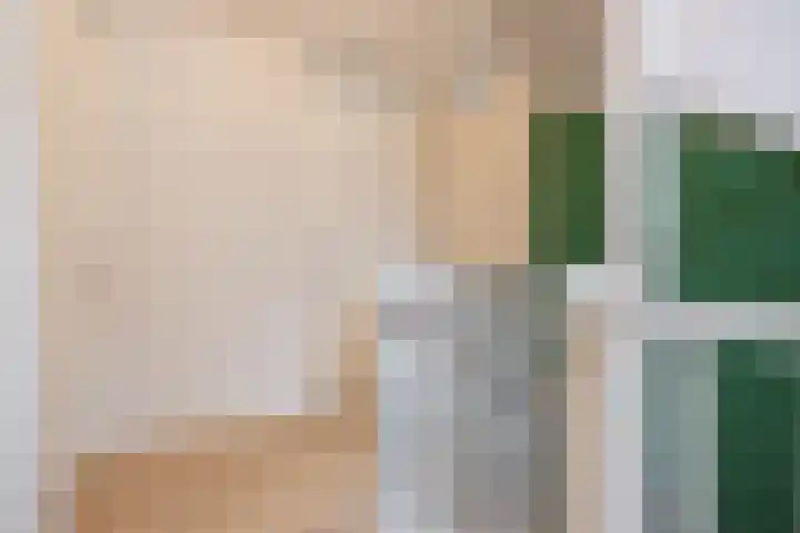 Prinsessenlaan 38 Oud Gastel thumbnail 34