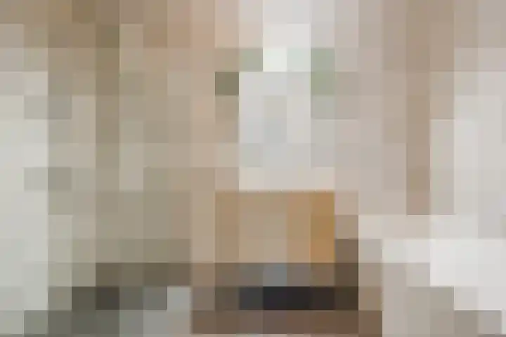 Prinsessenlaan 38 Oud Gastel thumbnail 35