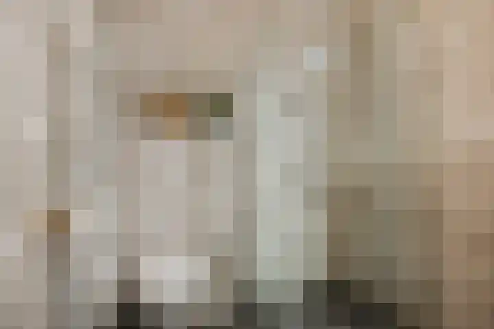 Prinsessenlaan 38 Oud Gastel thumbnail 37
