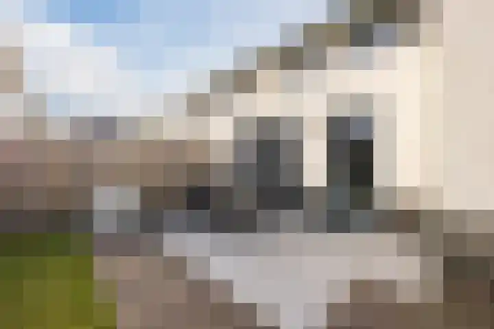 Prinsessenlaan 38 Oud Gastel thumbnail 47