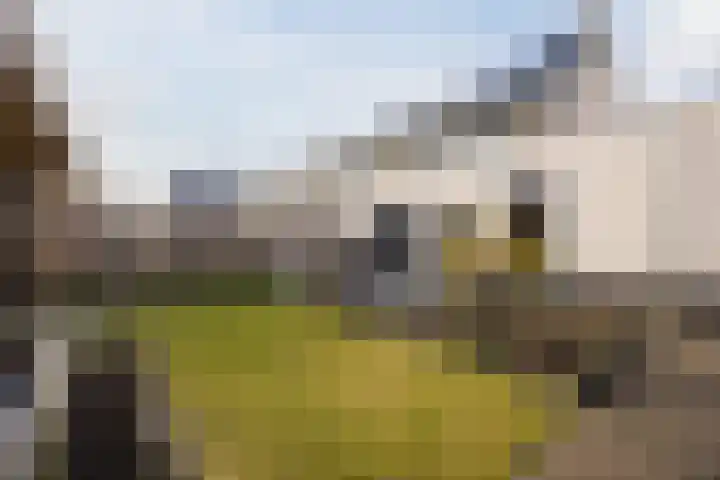 Prinsessenlaan 38 Oud Gastel thumbnail 48