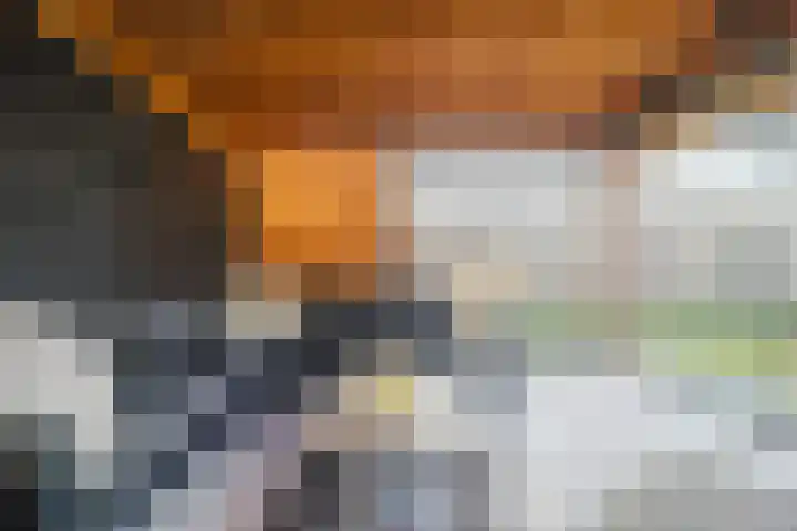 Prinsessenlaan 38 Oud Gastel thumbnail 50