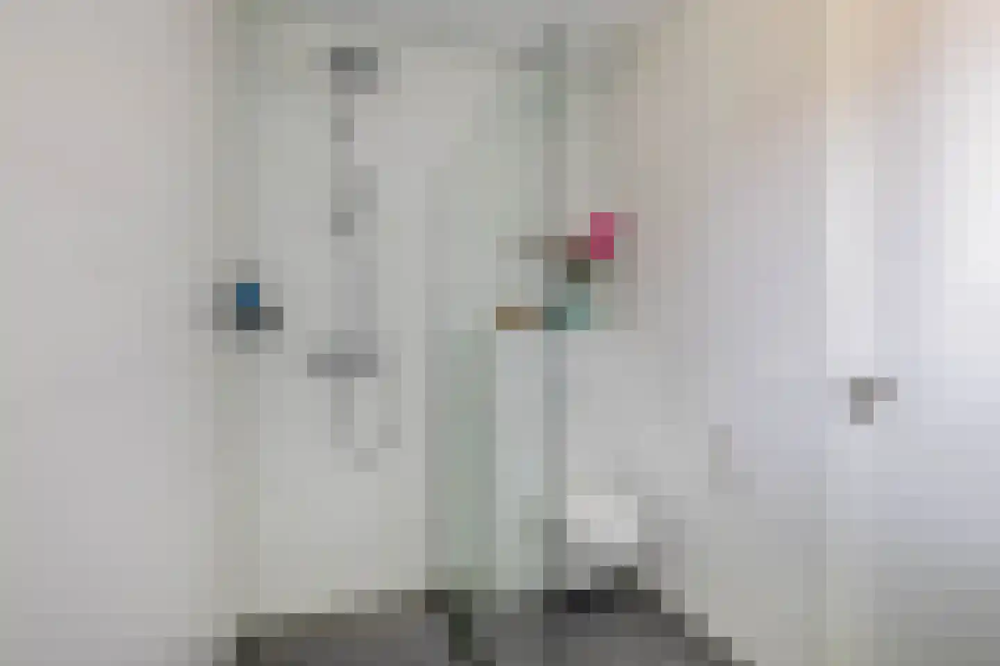 Prinsessenlaan 52 Oud Gastel thumbnail 57