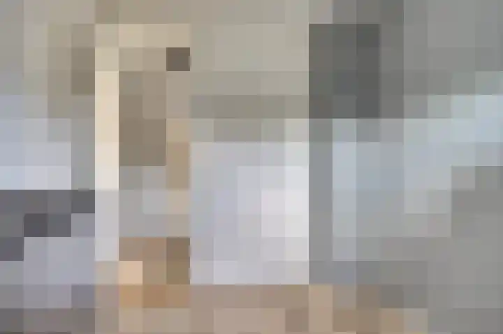 Prinsessenlaan 6 Hoogkarspel thumbnail 24