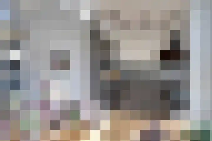 Prinsessenlaan 6 Hoogkarspel foto 3