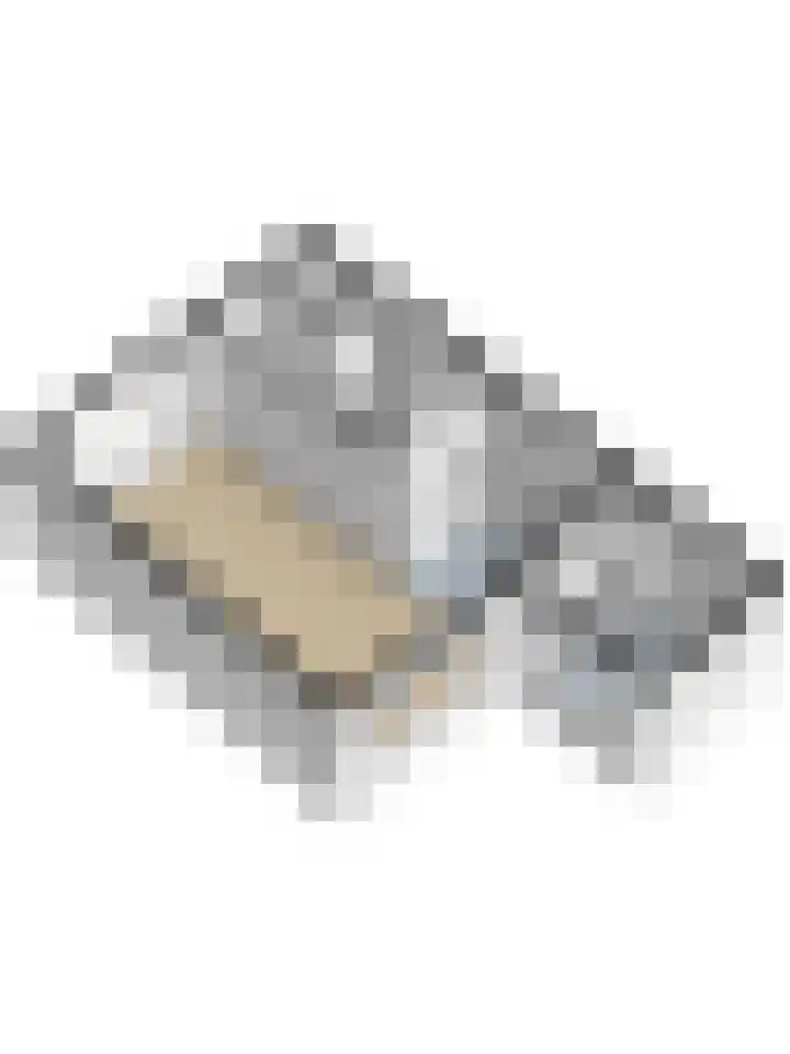 Prinsessenlaan 6 Hoogkarspel thumbnail 42