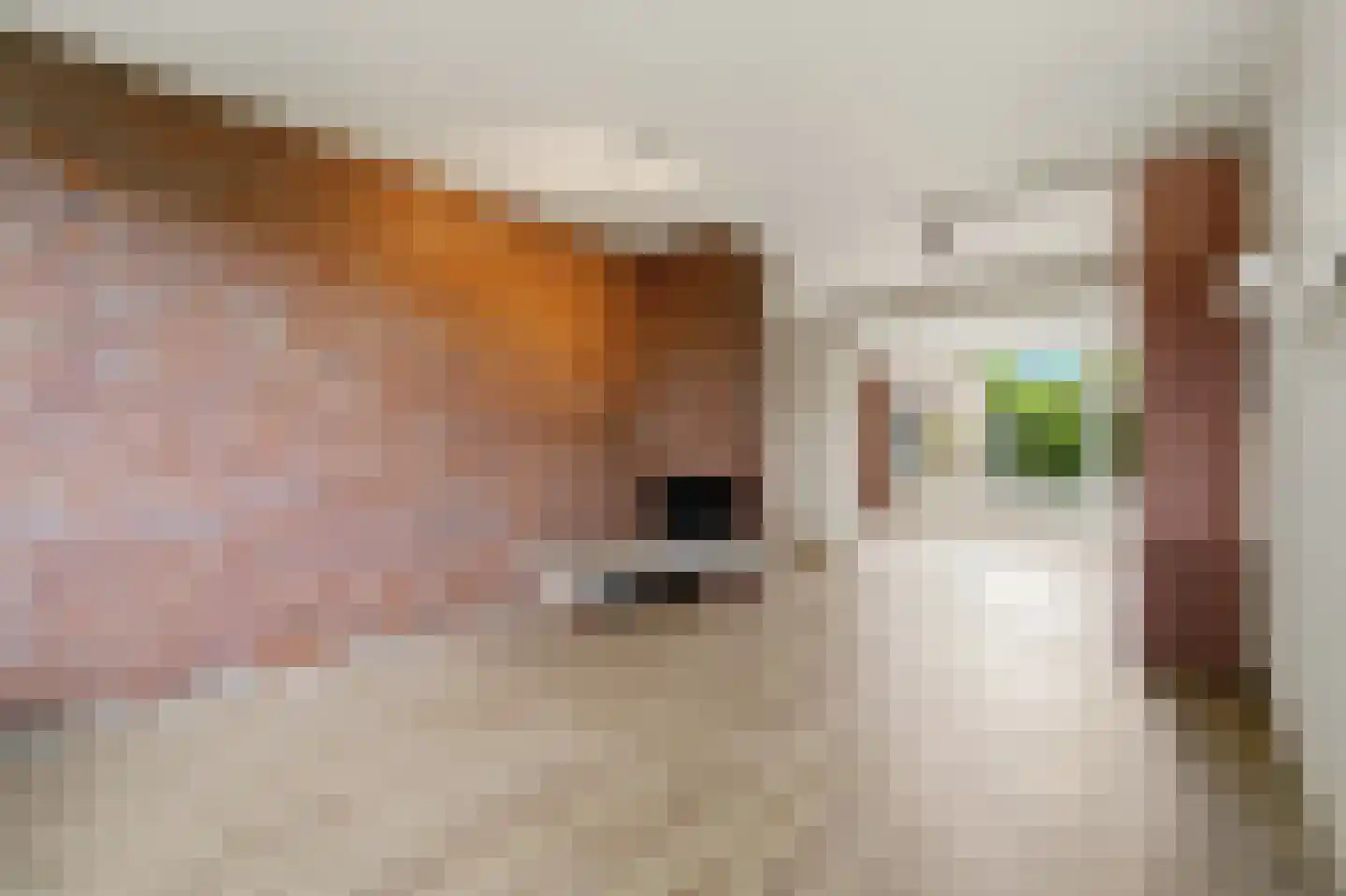 Prinsessenpad 29 Den Hoorn thumbnail 17