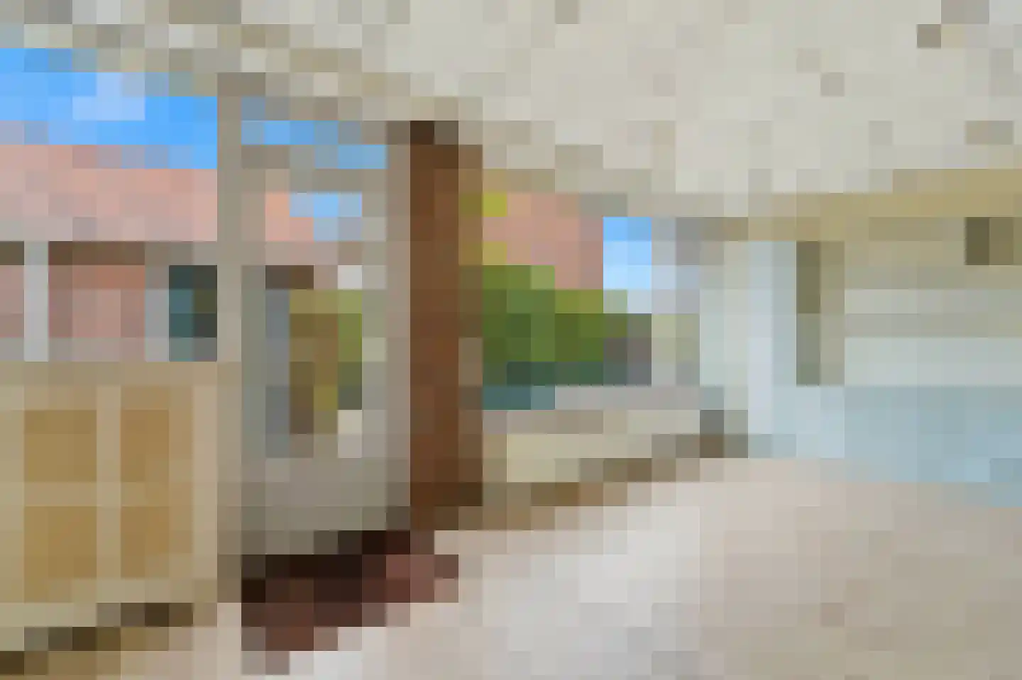 Prinsessenpad 29 Den Hoorn thumbnail 21
