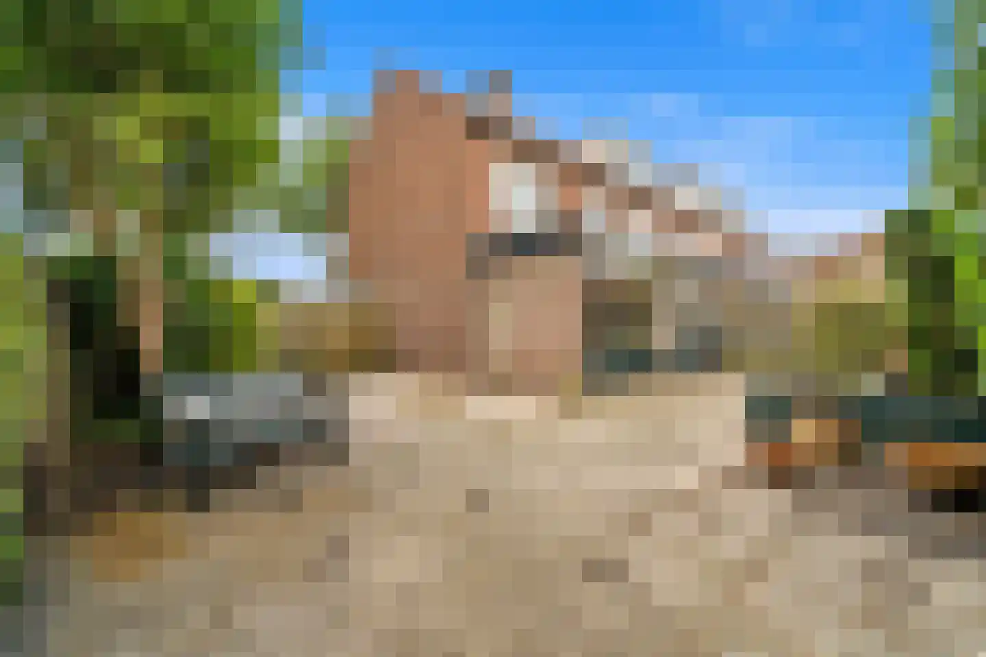 Prinsessenpad 29 Den Hoorn thumbnail 23