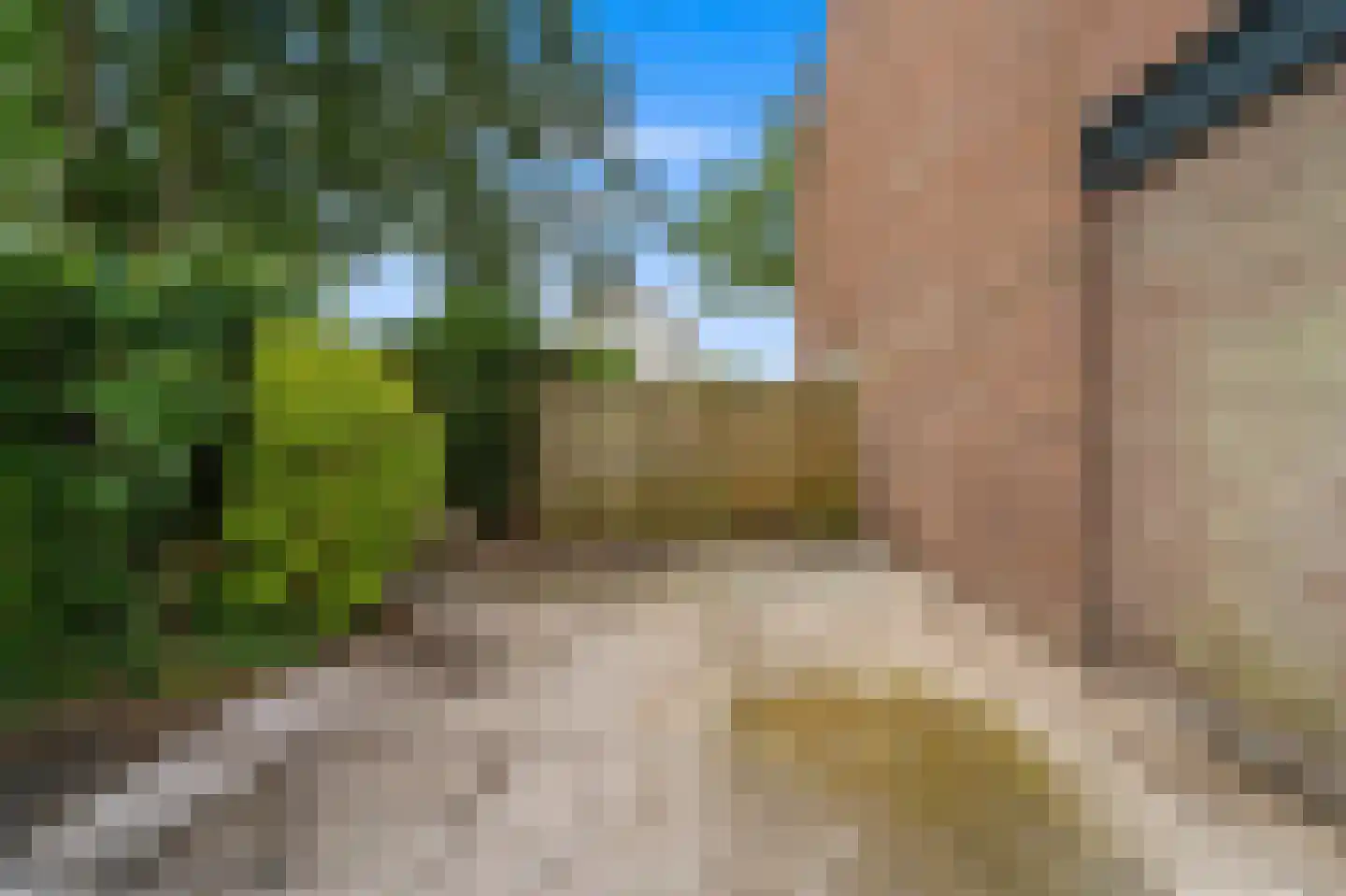 Prinsessenpad 29 Den Hoorn thumbnail 24