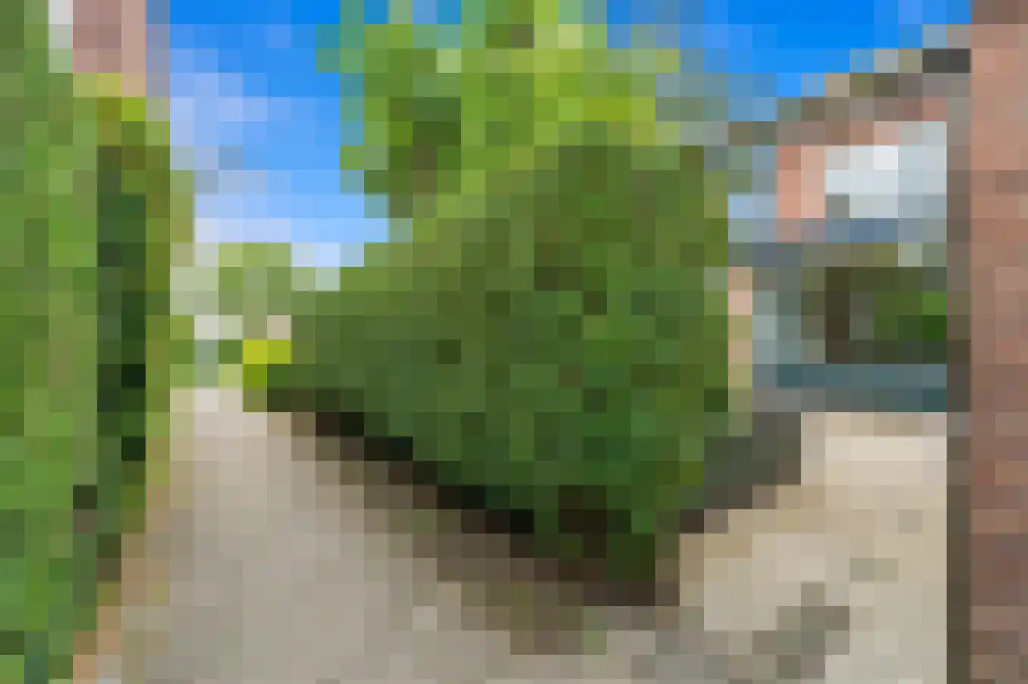 Prinsessenpad 29 Den Hoorn thumbnail 29