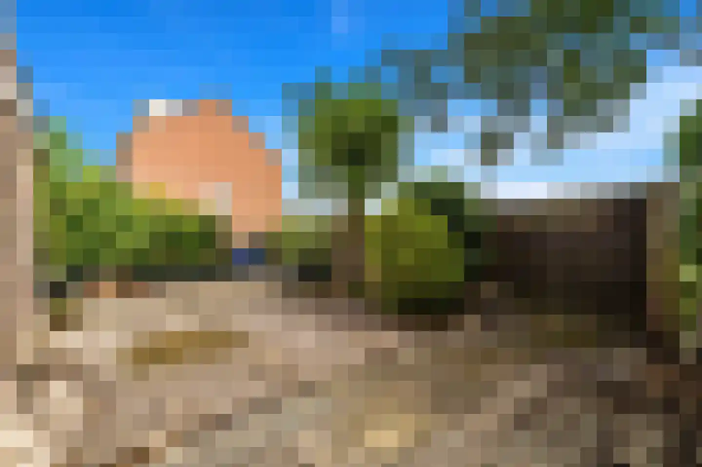 Prinsessenpad 29 Den Hoorn thumbnail 4