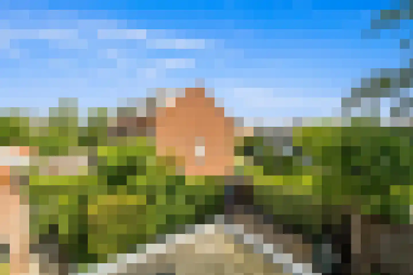 Prinsessenpad 29 Den Hoorn thumbnail 40
