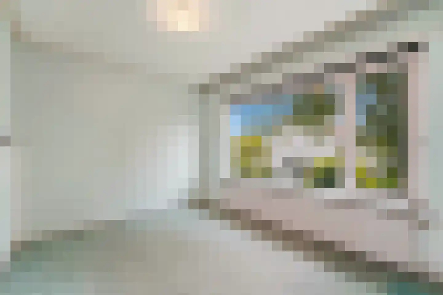 Prinsessenpad 29 Den Hoorn thumbnail 42