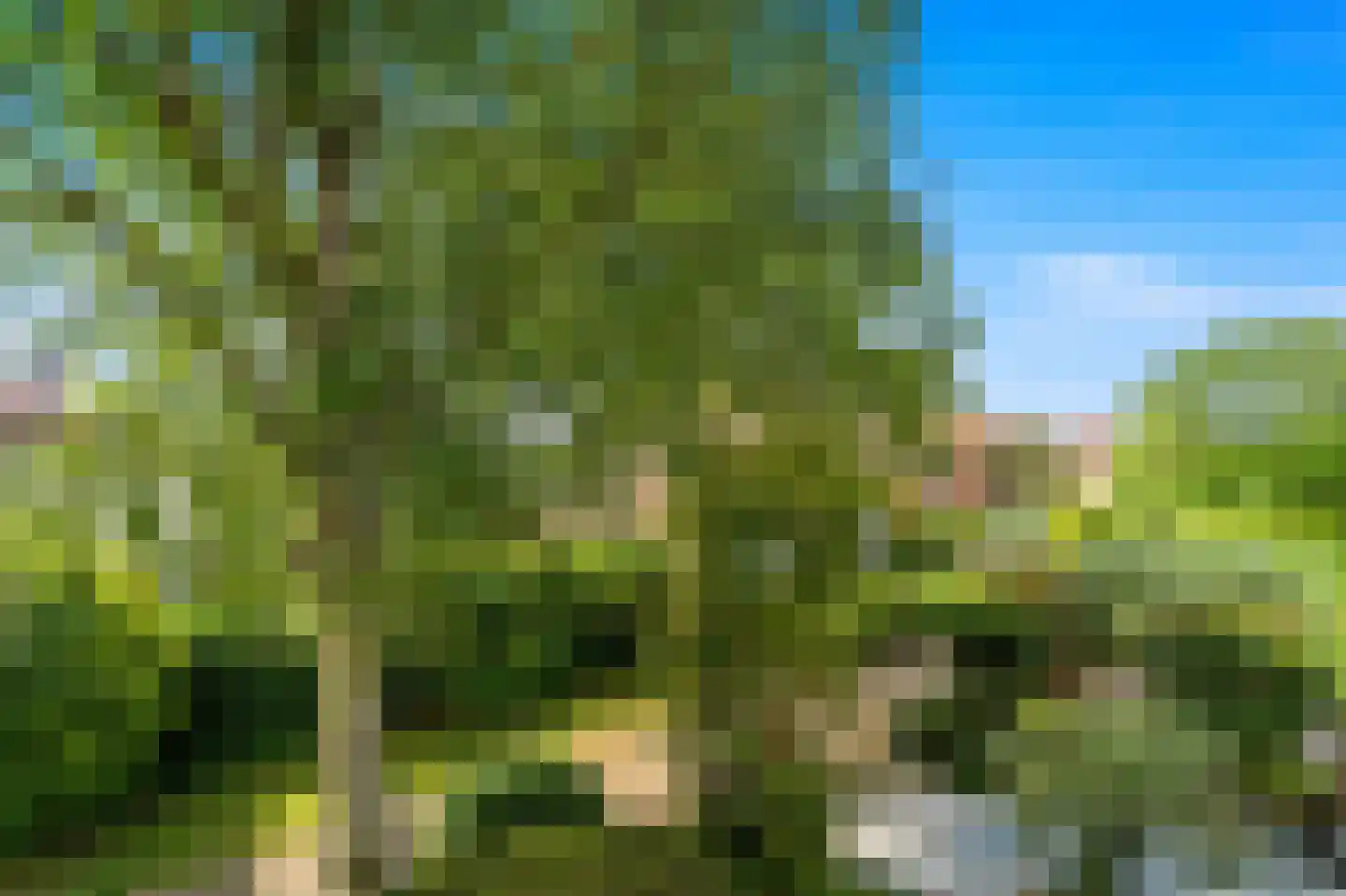 Prinsessenpad 29 Den Hoorn thumbnail 43