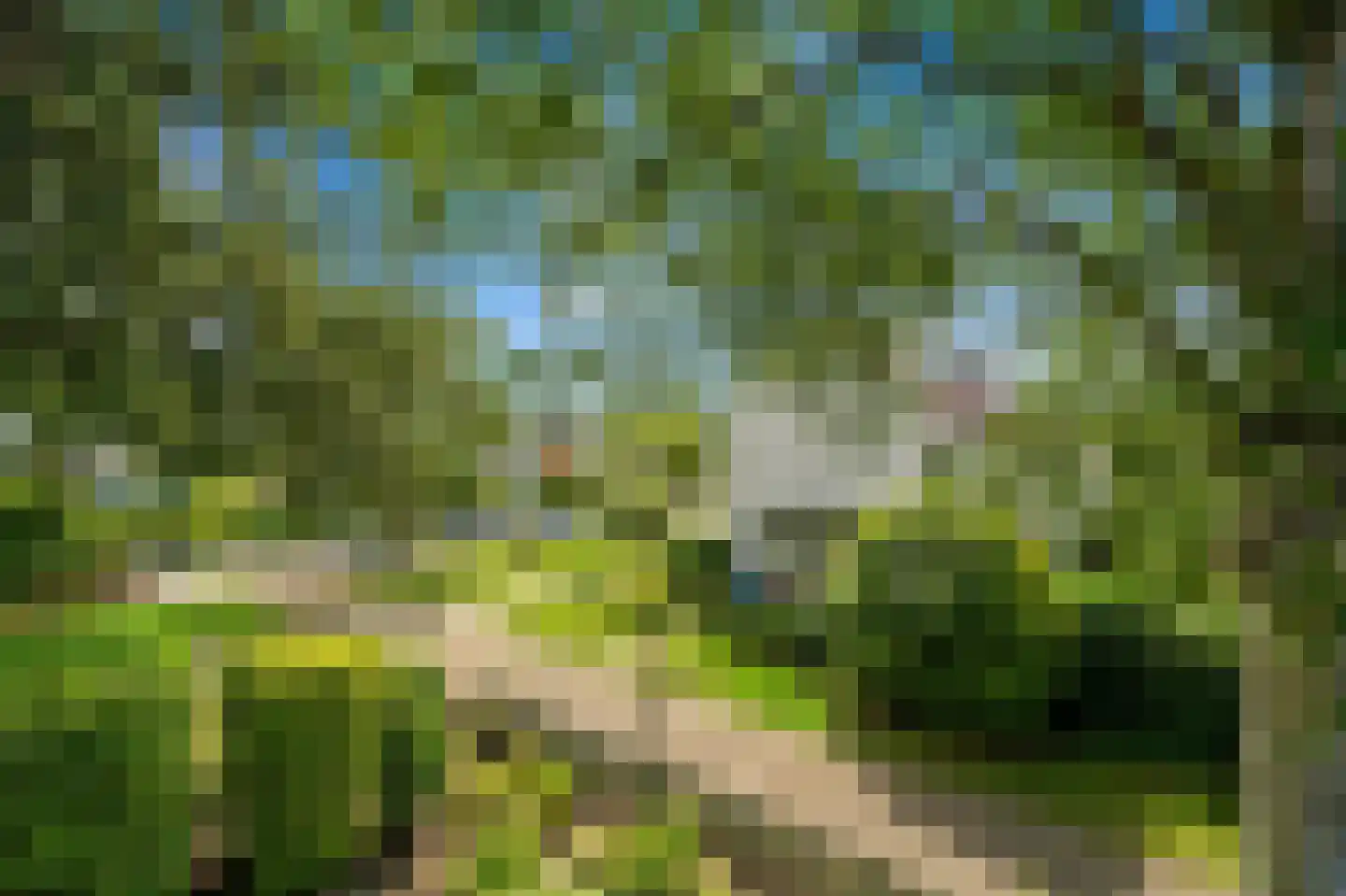 Prinsessenpad 29 Den Hoorn thumbnail 44